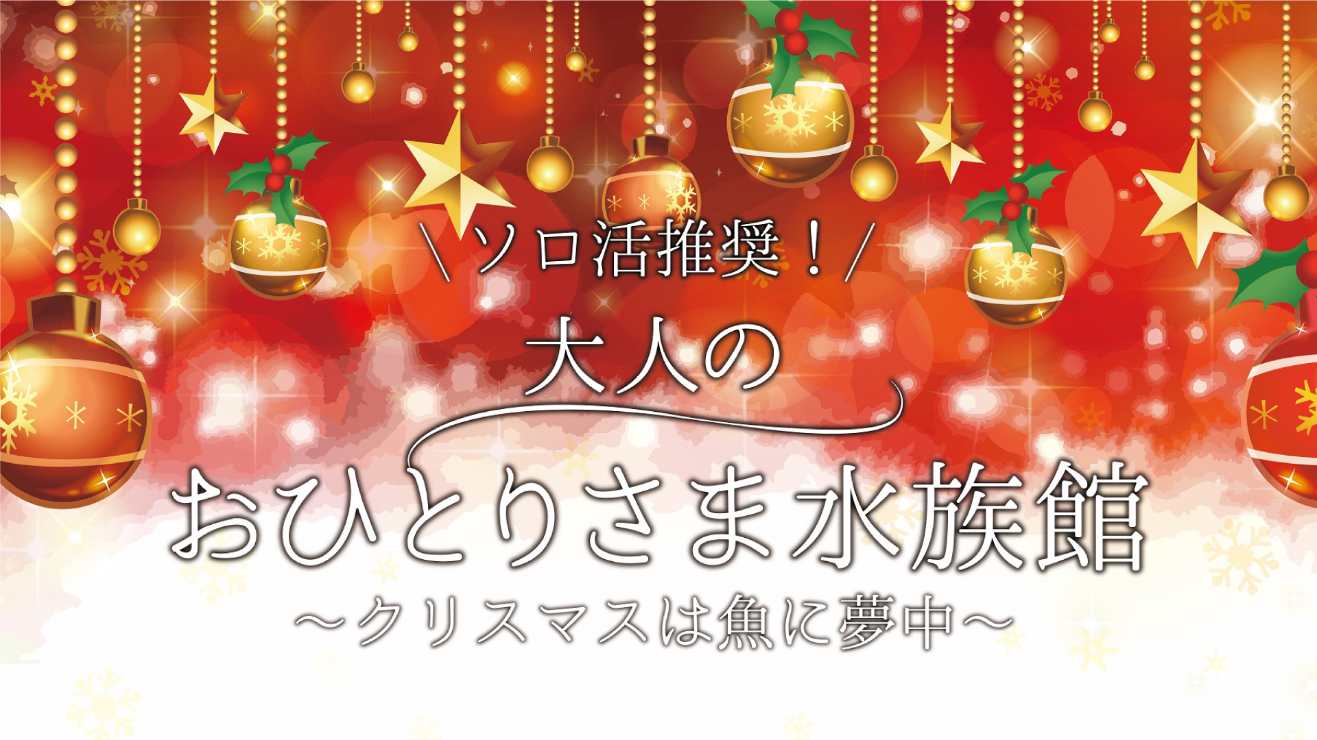 うみがたり人気企画！「 大人のおひとりさま水族館」クリスマスイブに開催