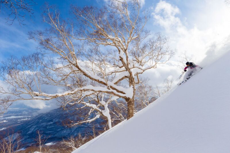 【妙高杉ノ原スキー場】2018020517281-軽い-800x533
