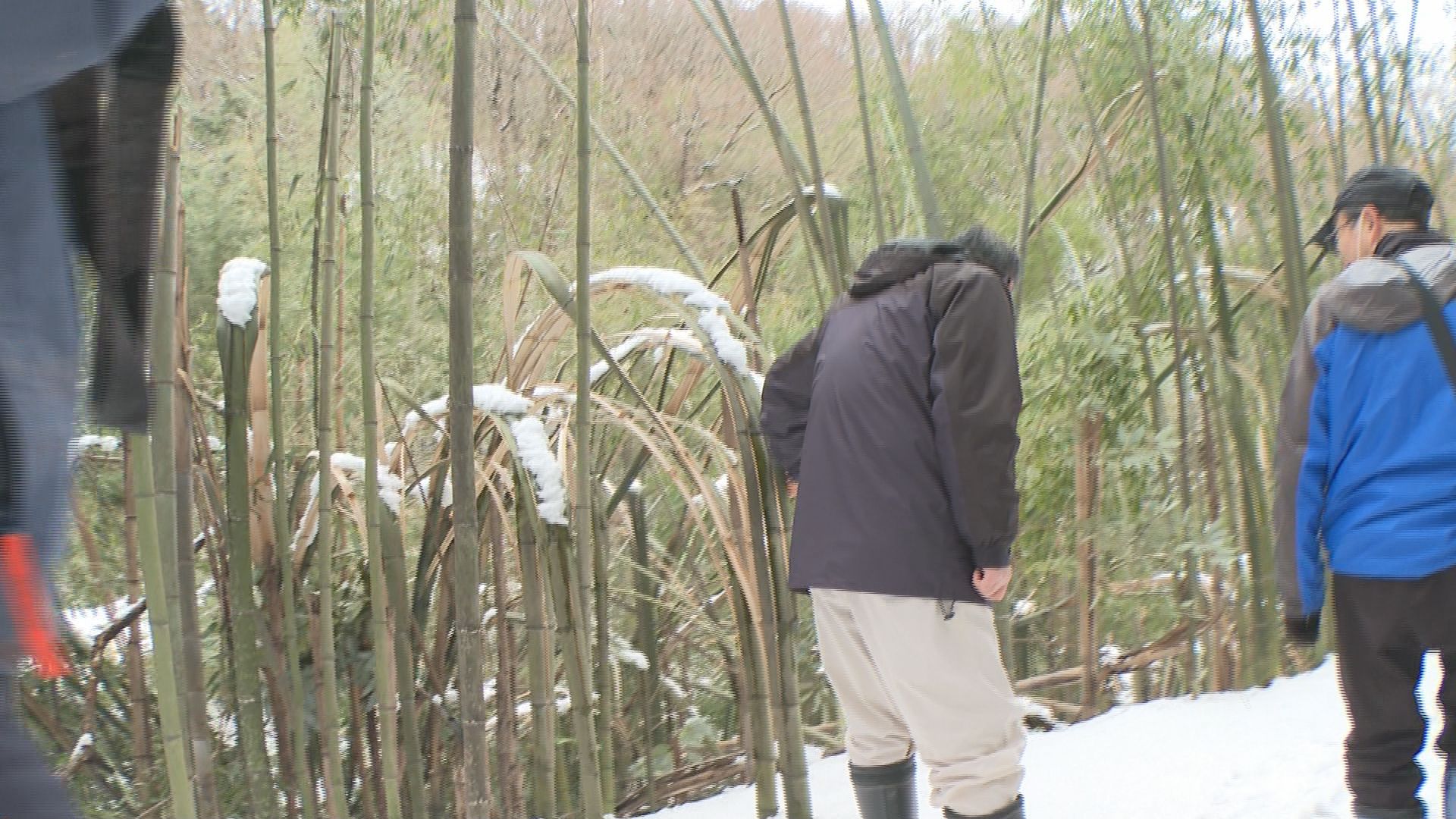 昨年末の大雪被害 手つかずの農道など市長が視察／佐渡テレビジョン