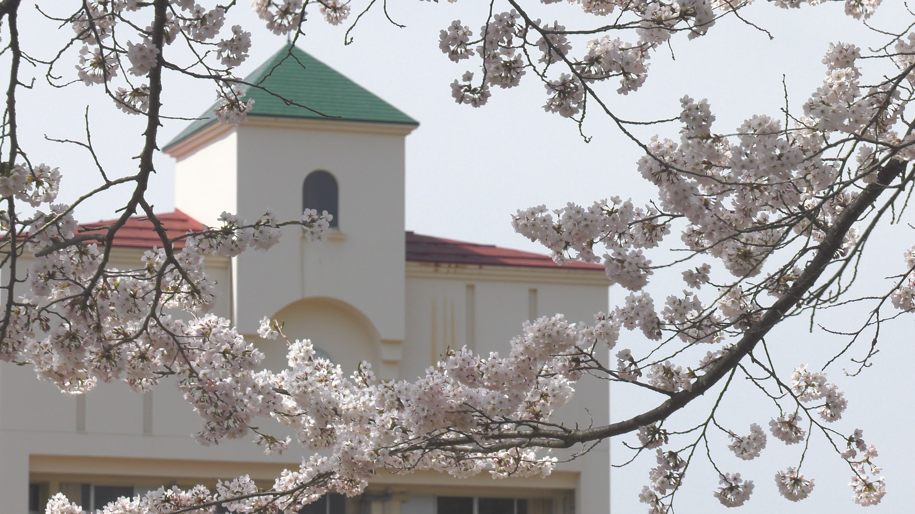 【動画】閉校の桜 子どもたちがいなくても