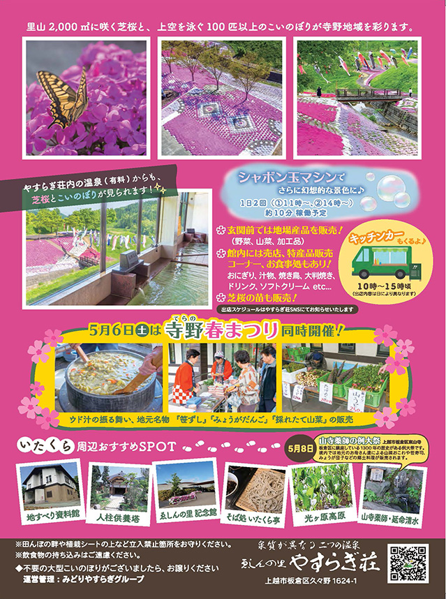 shibazakura_ura_tonbo小