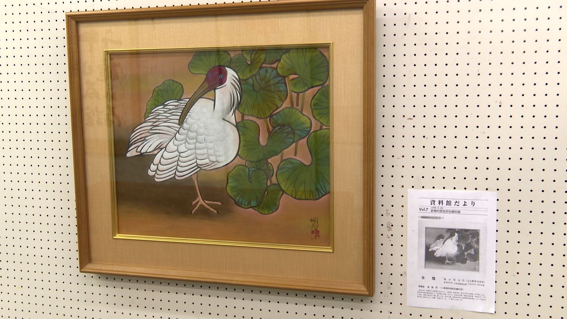 トキに関連する収蔵品集めた展示会／佐渡テレビジョン