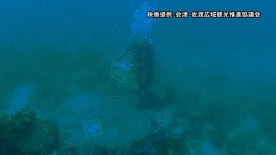 会津若松市と連携し日本酒の海底貯蔵実験始まる／佐渡テレビジョン