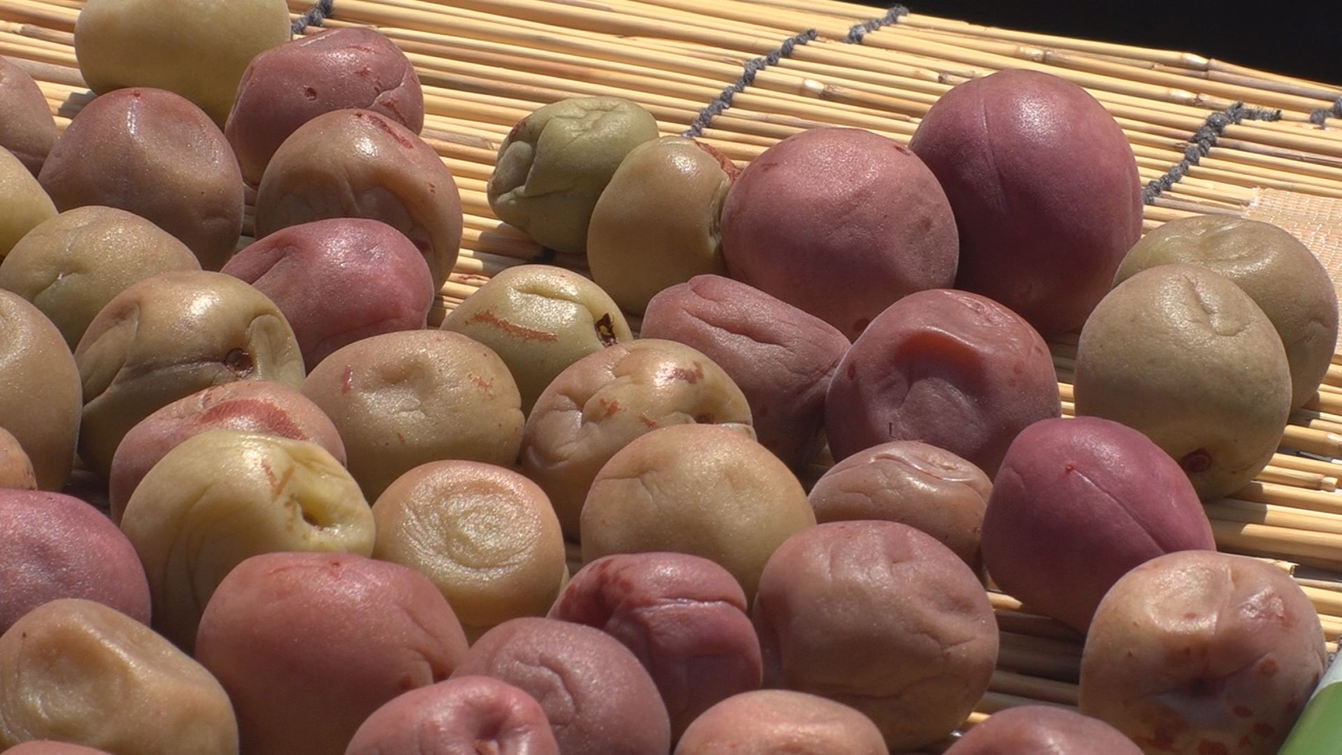 夏の風物詩！正善寺工房でウメの天日干し