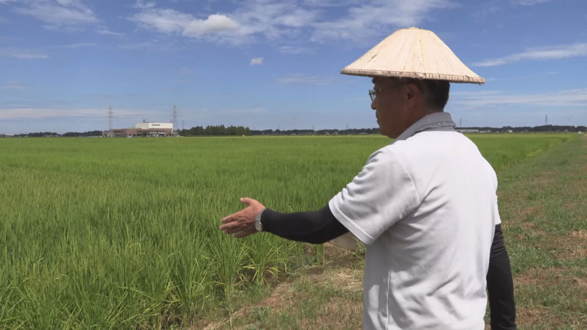 まとまった雨降らず農業用水も不足 「番水」始まる