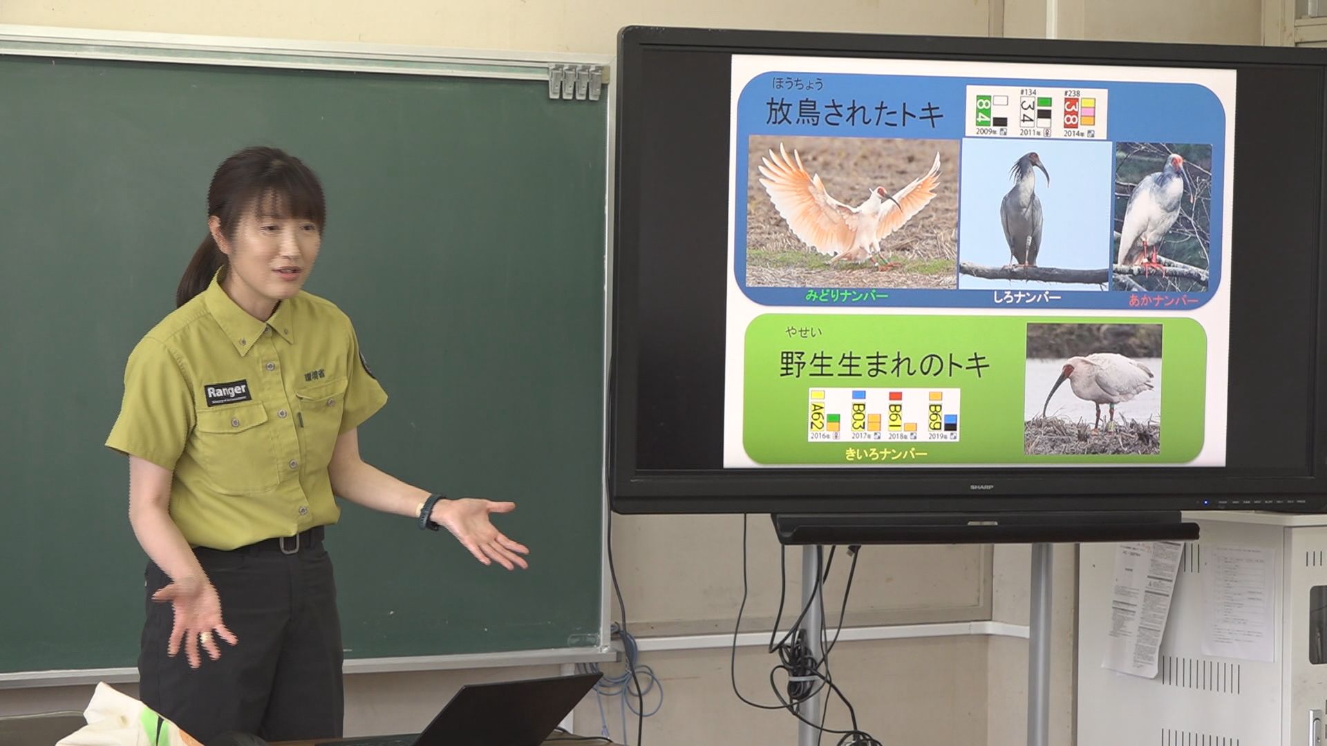 日本一トキに詳しい学校で環境省職員招き学習会／佐渡テレビジョン