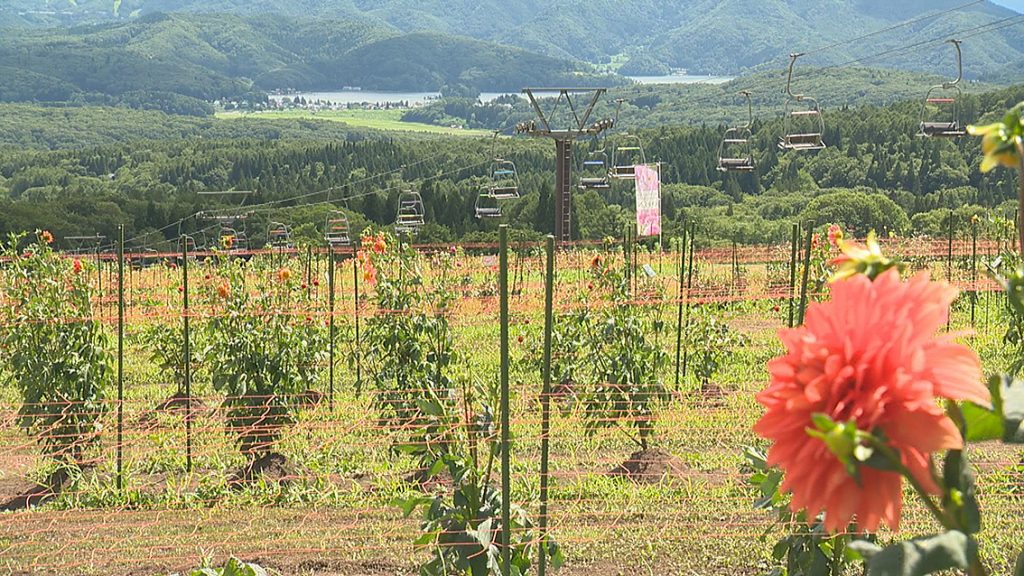 野尻湖まで見える