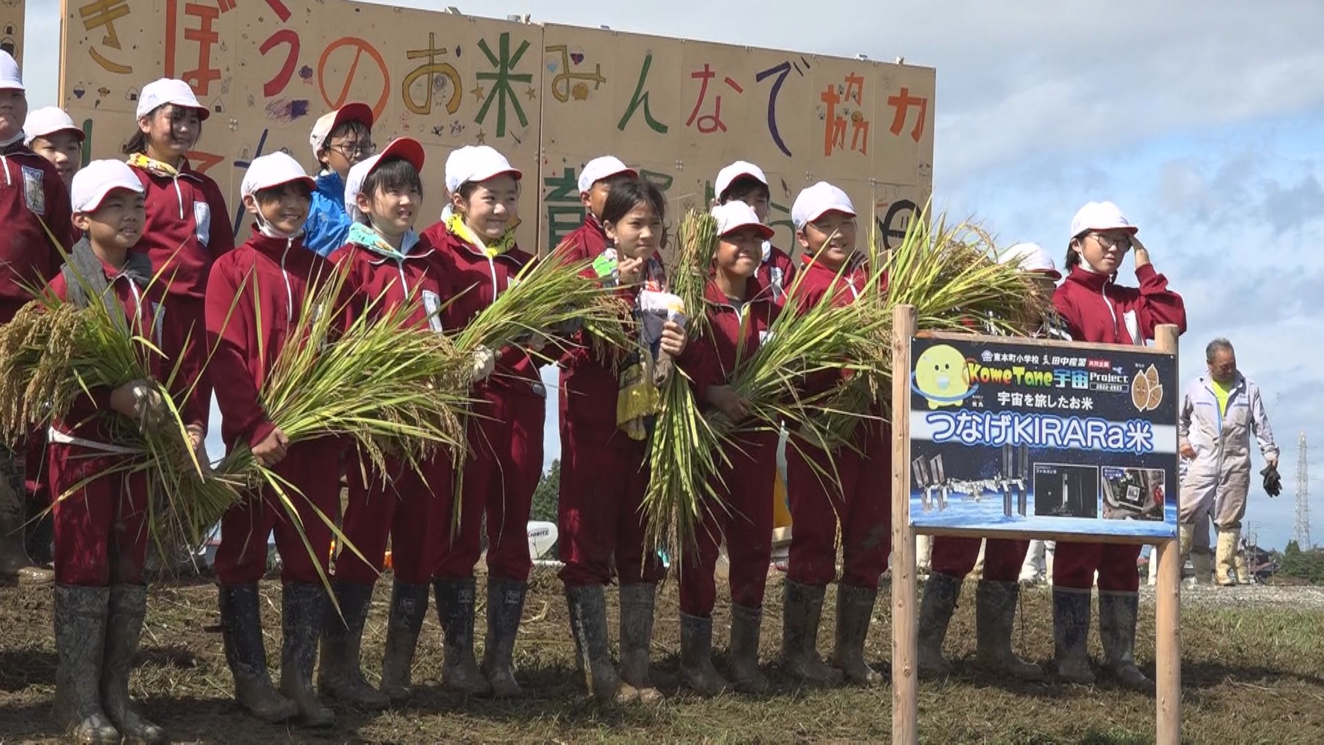 宇宙で保管された種もみ 東本町小児童が稲刈り