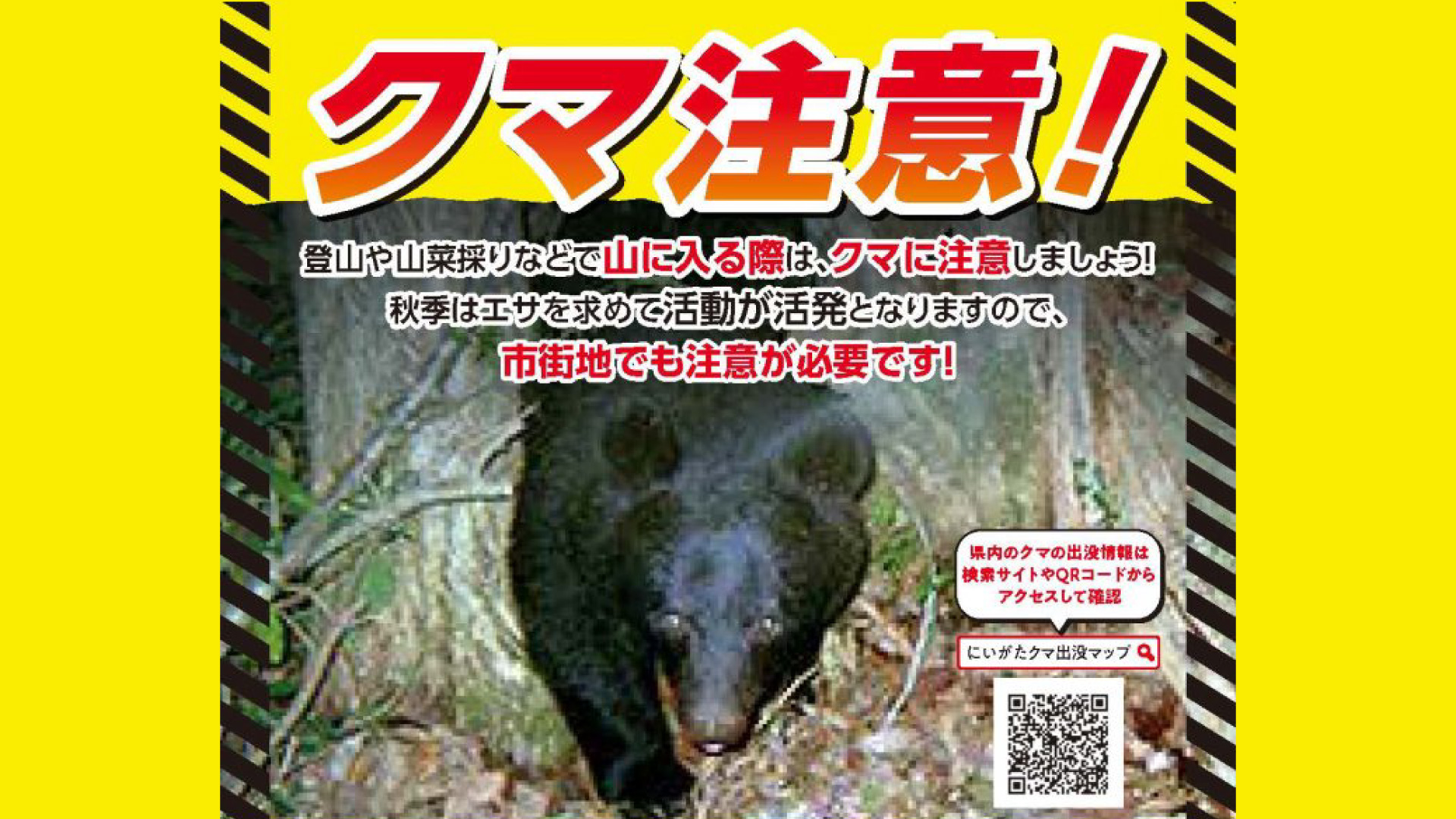 上越地域 ブナやミズナラ凶作 クマ人里への出没に注意