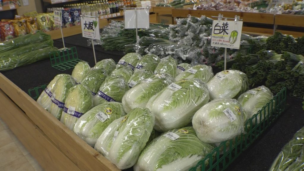 231019_猛暑の影響　秋野菜