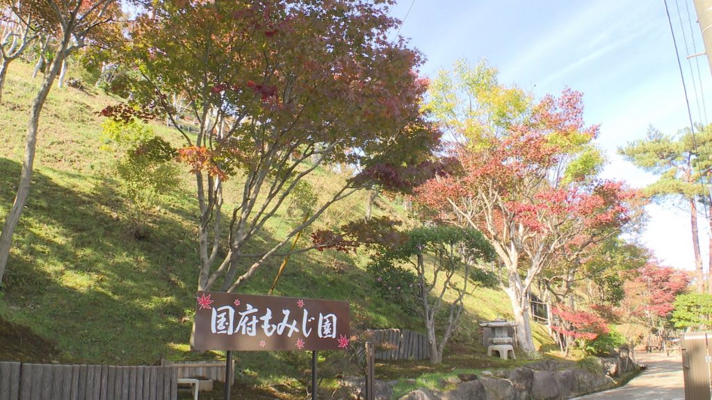 Still1116_00001