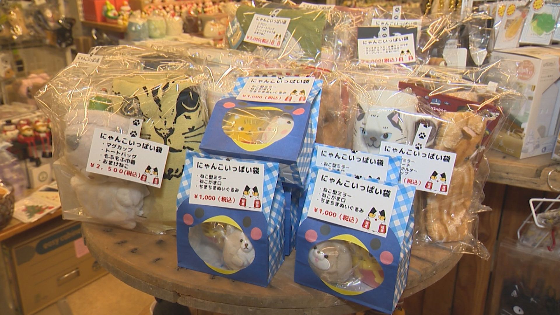 猫好きにはたまらない！年末限定 にゃんこいっぱい袋販売「大谷文具店」