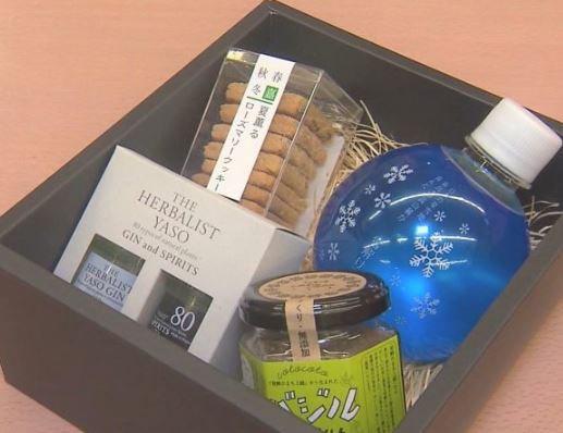 インフルエンサーとコラボセット発売！「さくら百嘉店 発酵プラス」