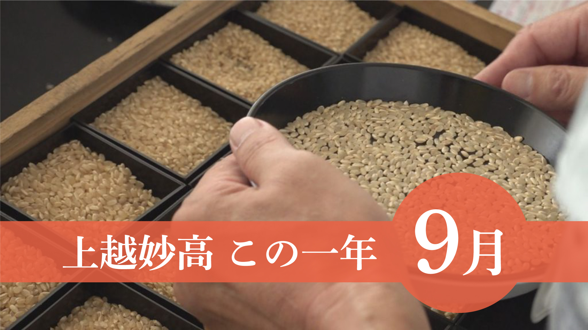 ＜上越妙高この一年＞9月…給食で食物アレルギー事故、コシヒカリ1等米比率1割以下、リフレ上越山里振興解散へ