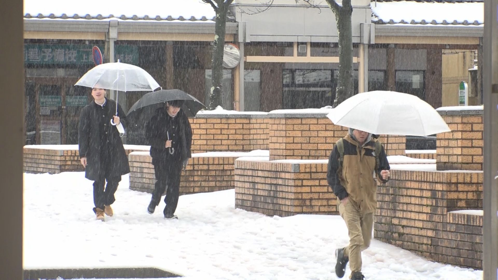 上越地方 平野部でまとまった積雪 今週21日(木)から大雪の予報