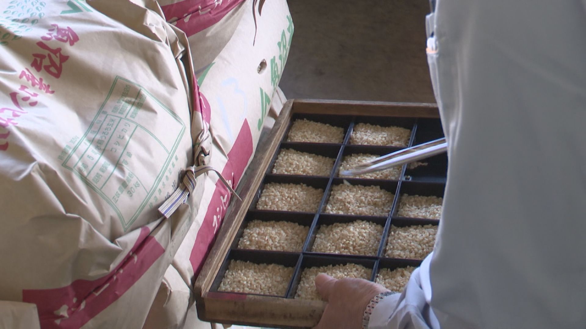 コメの作況指数 上越地域は全国最低に