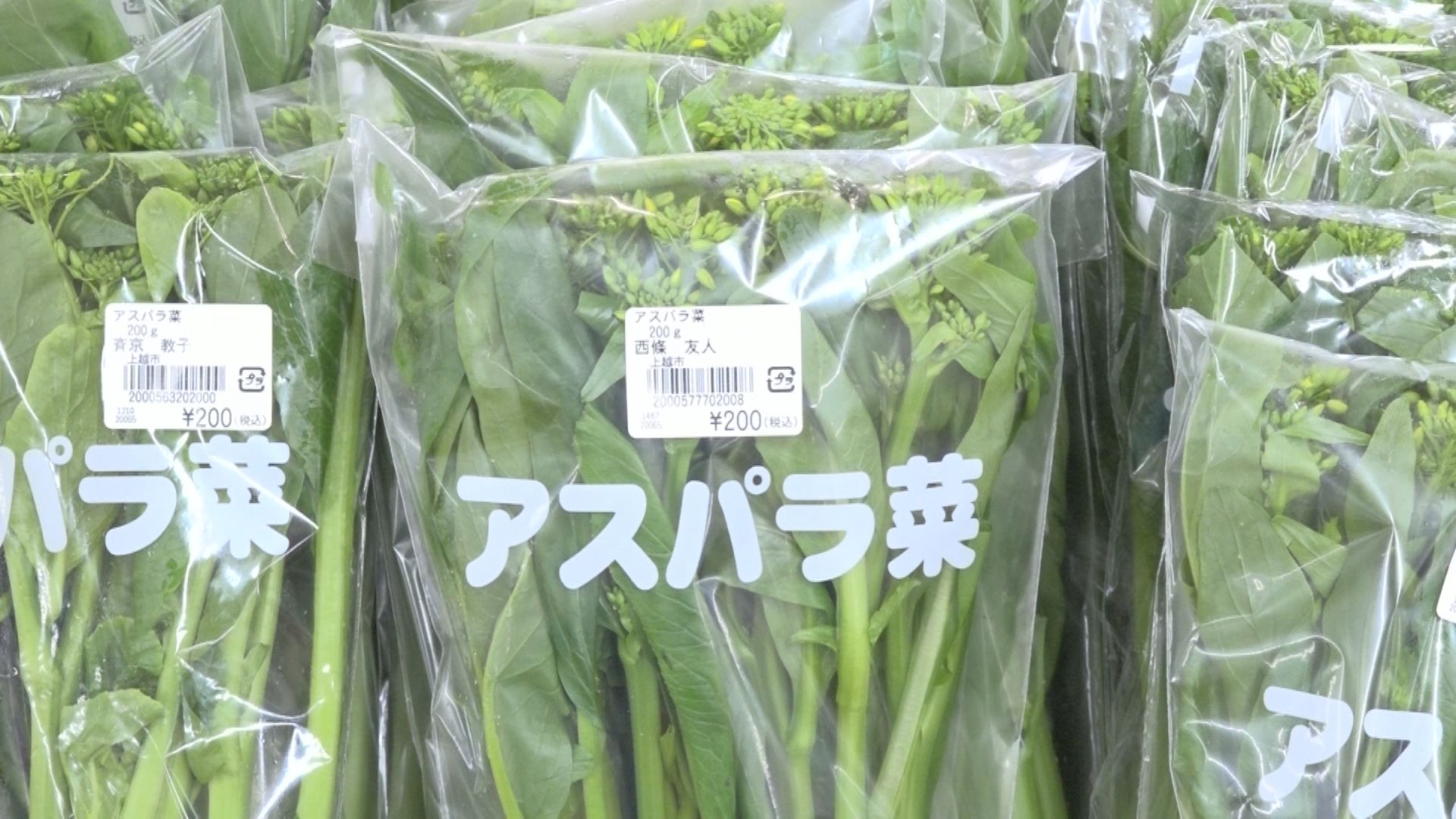 お待たせしました！あるるん畑でアスパラ菜の販売はじまる