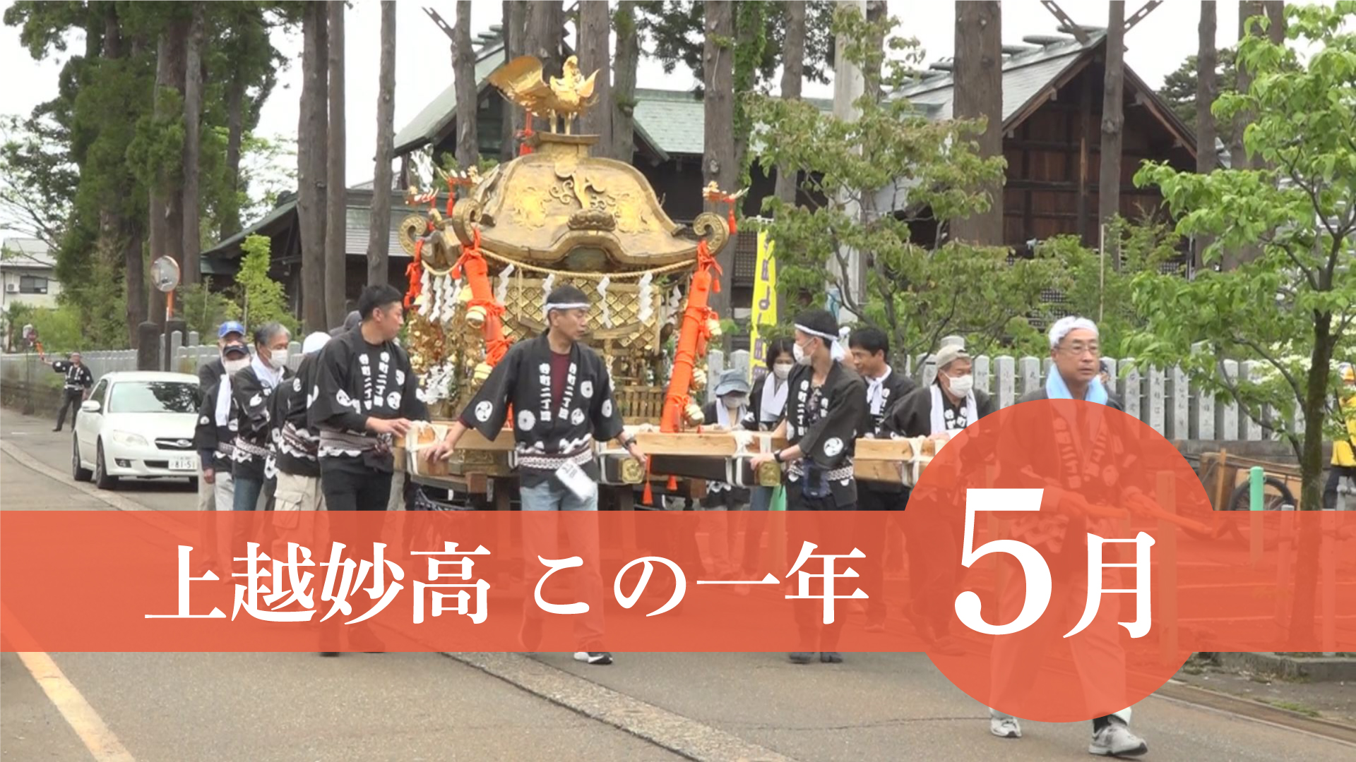 ＜上越妙高この一年＞5月…海の事故相次ぐ、4年ぶり各地で祭り、ゴマフアザラシジロー国内最高齢