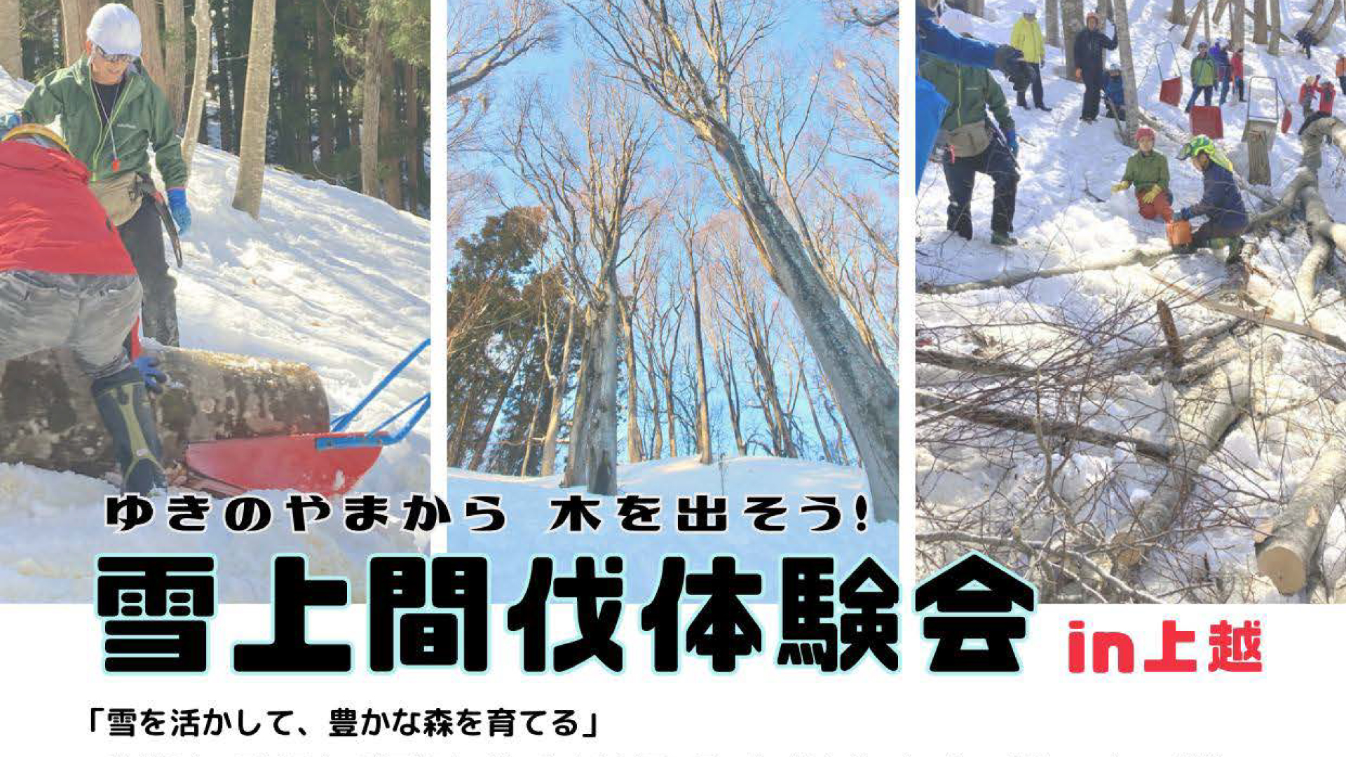 参加者募集！雪山から木を運び出す「雪上間伐体験会」3月16日(土)開催