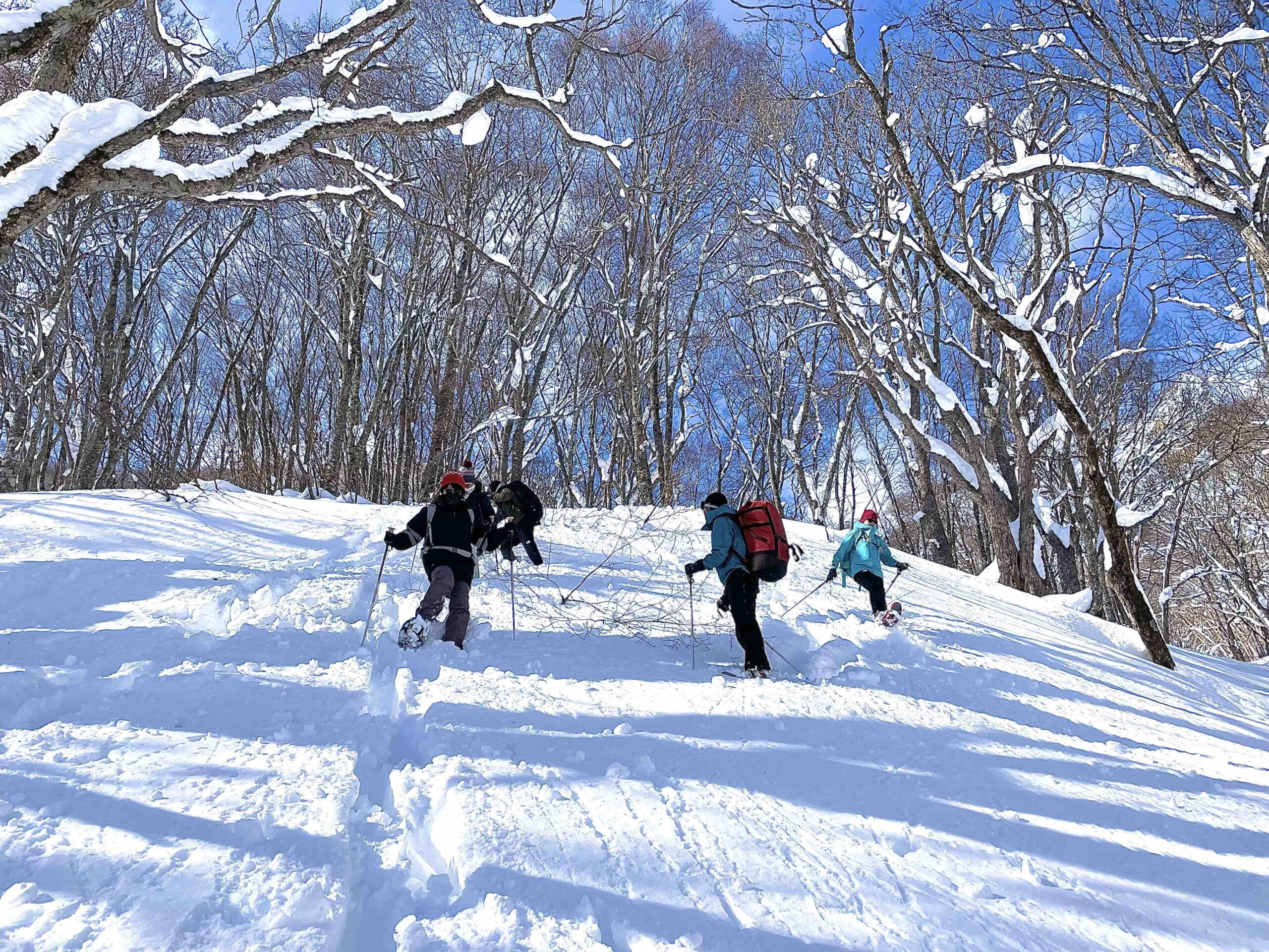 妙高高原ビジターセンター 3月は雪を楽しむスノーシュートレッキング！