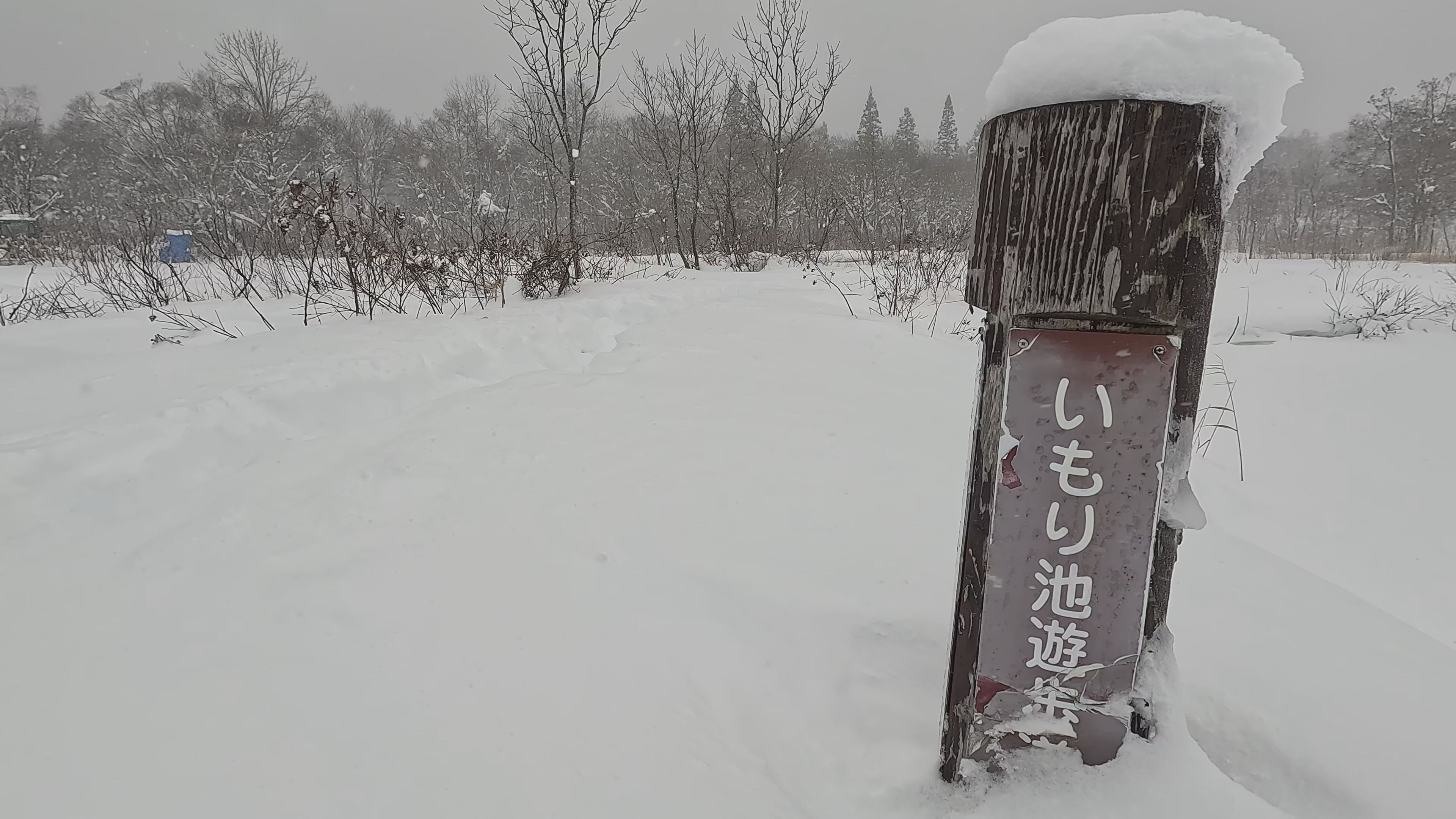 【動画】厳冬いもり池 極寒の景色を見に行こう