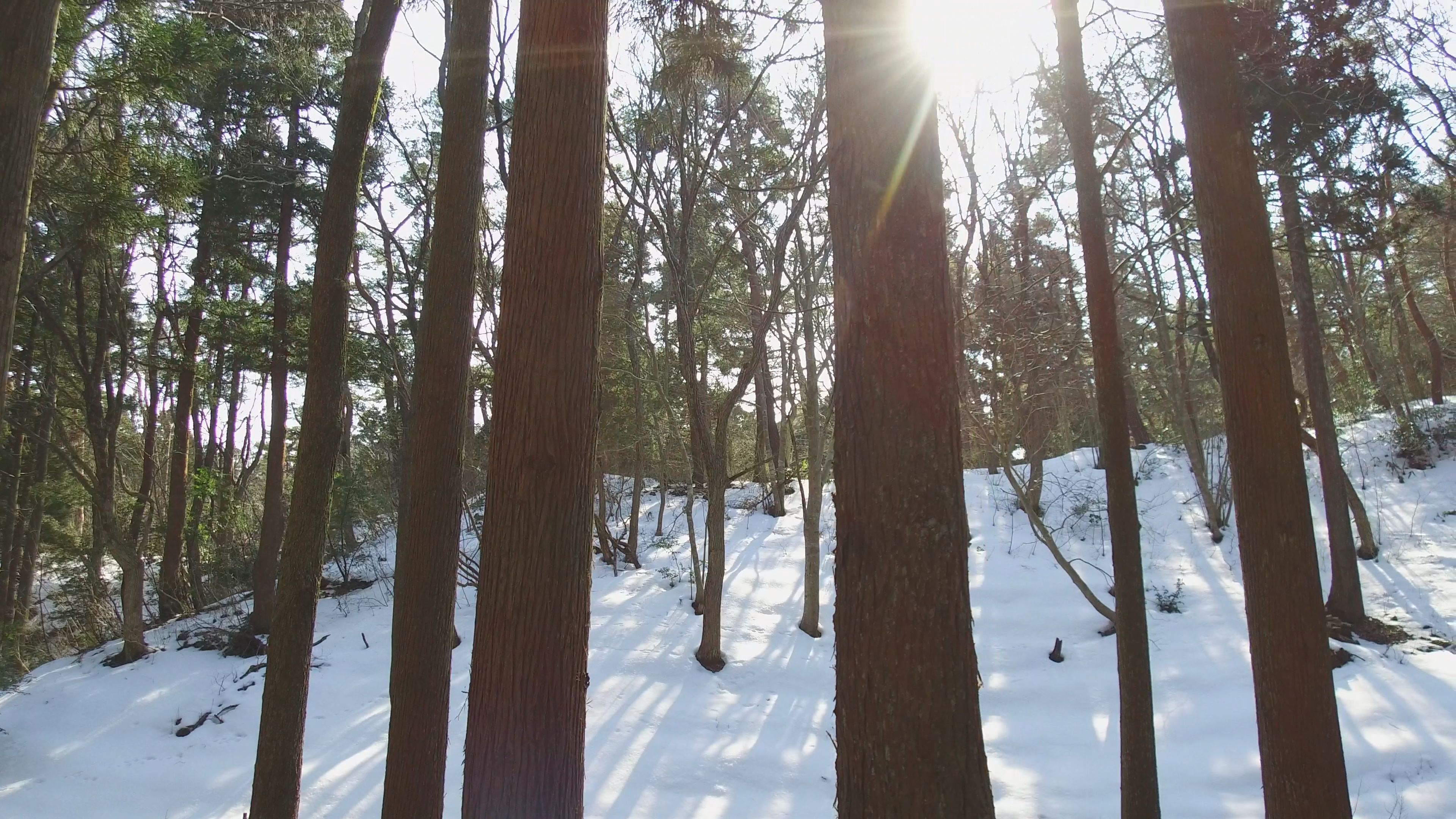 【動画】残雪の五智公園  光の春感じて
