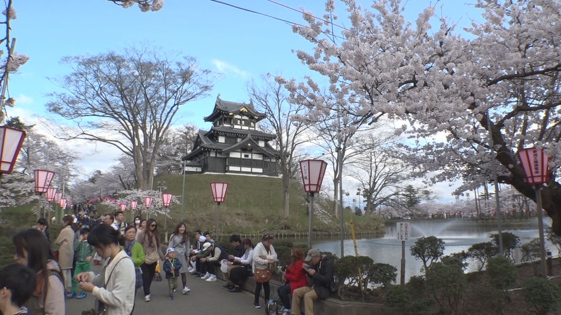 高田城址公園観桜会 今年は露店250店以上 コロナ禍前と同規模に！