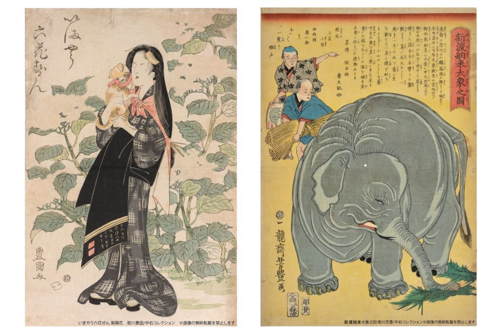 左「いまやう六花せん_紫陽花」歌川豊国／中右コレクション・右「新渡舶来大象之図」歌川芳豊／中右コレクション（差し替え）①