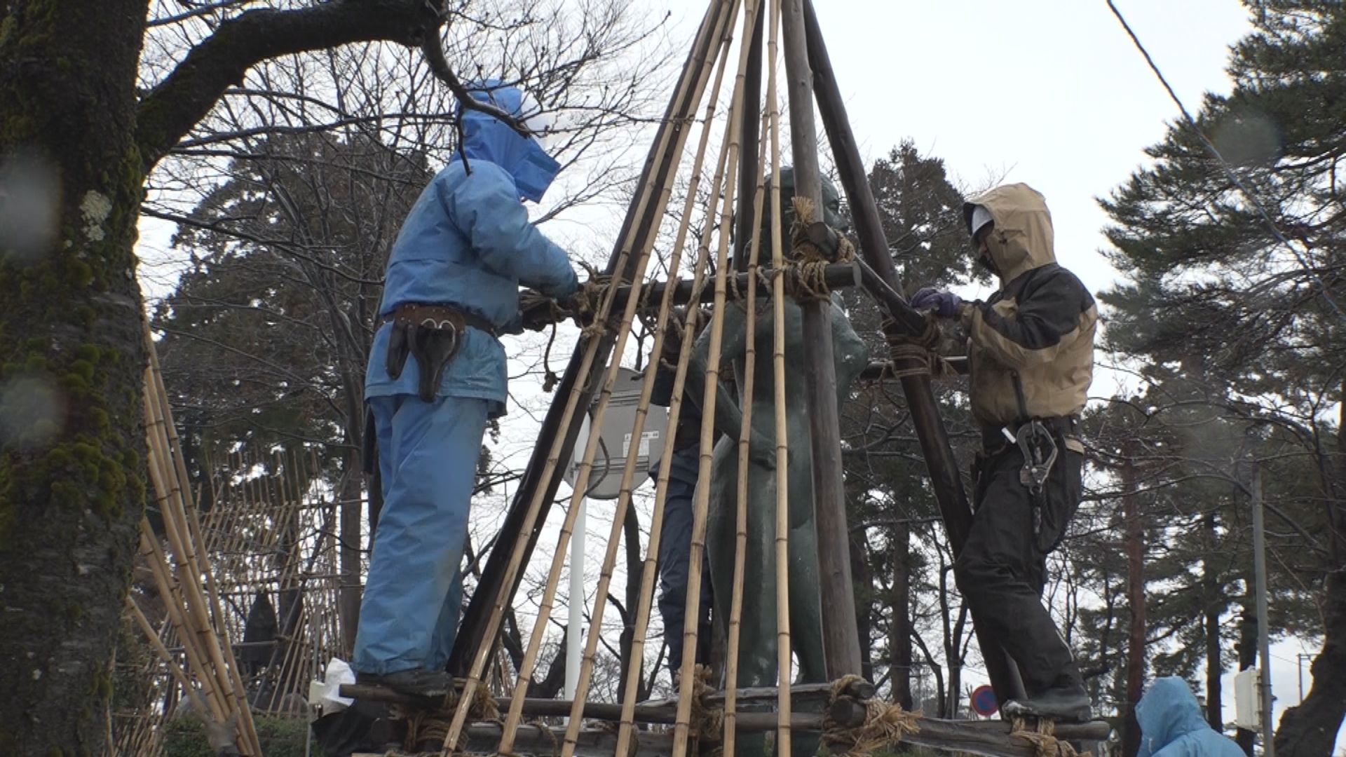 サクラの春へ！高田城址公園 冬囲いの取り外し作業始まる