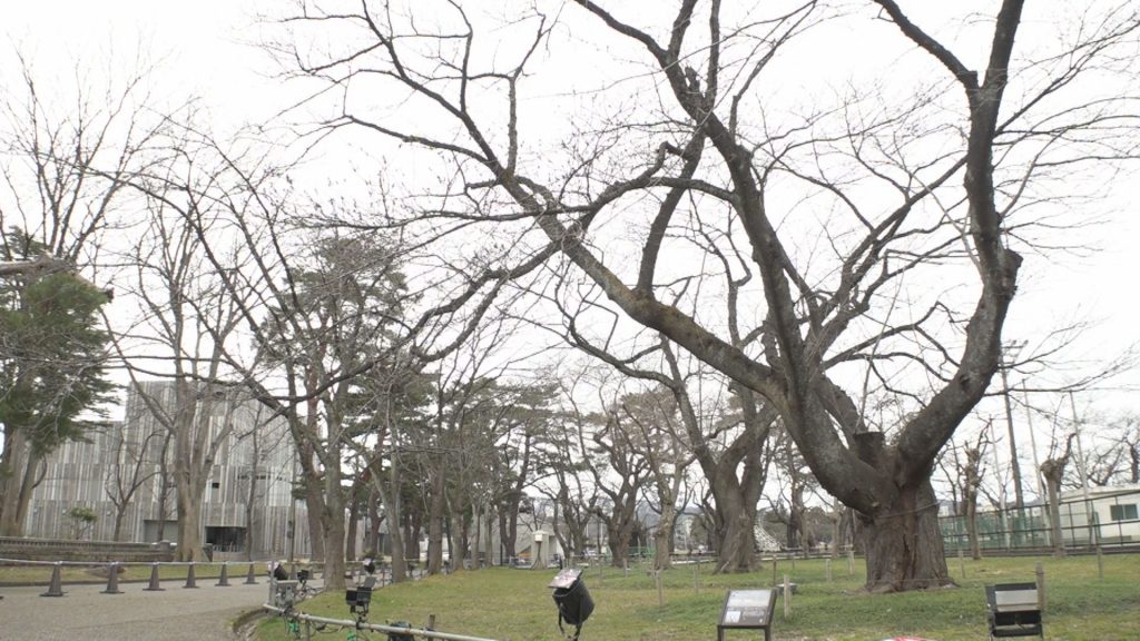 Still0328_00002 (2)