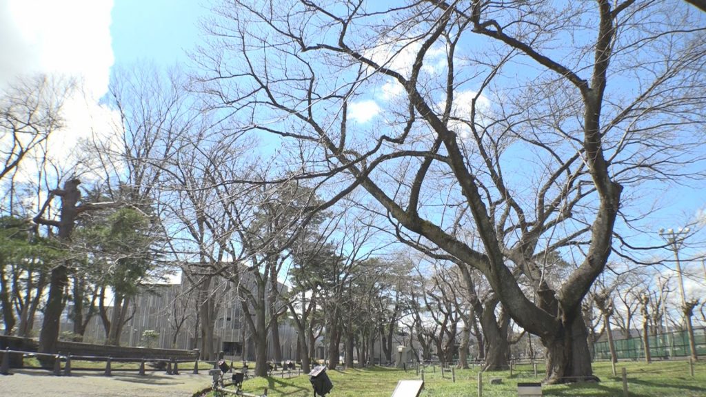 Still0329_00000 (2)