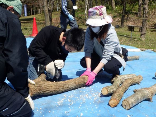 大潟水と森公園  4月はお花見やシイタケのコマ打ち体験！イベント参加者募集