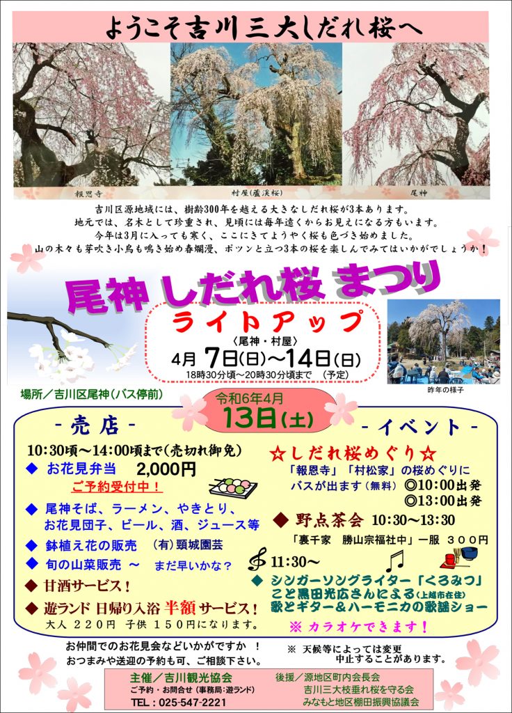 尾神しだれざくら1