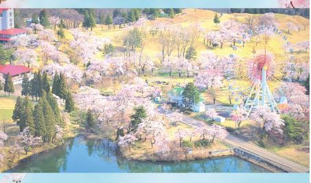 観覧車に乗って空から満開の桜「妙高天空桜」5日(金)から