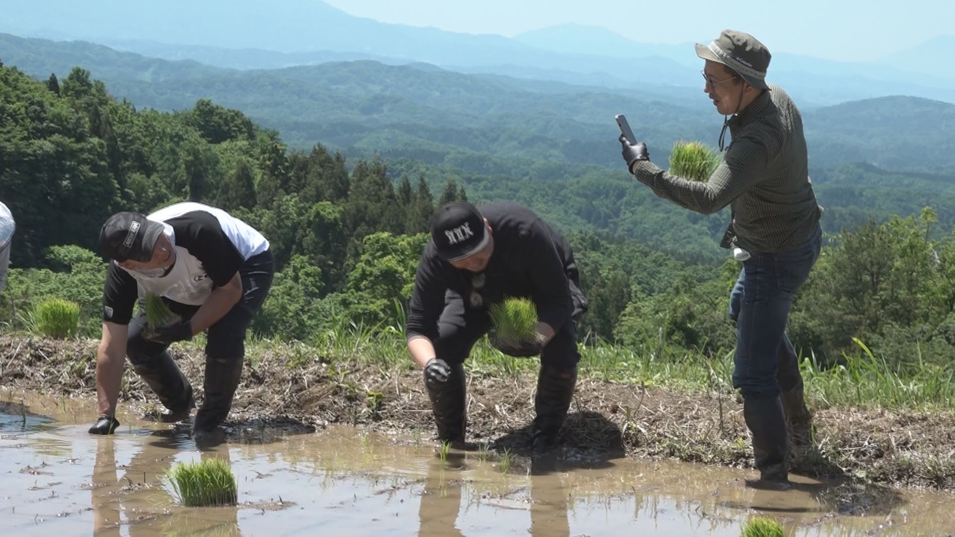 落語家の林家木久蔵さん  柿崎区で田植え体験
