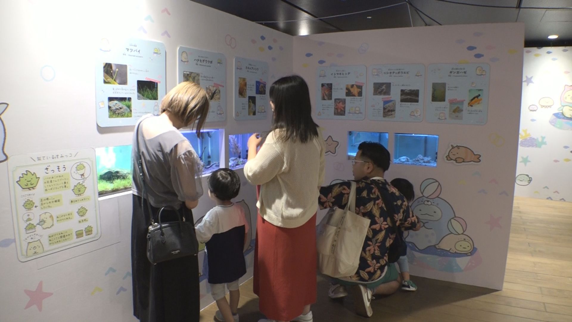 うみがたり開館6周年！「すみっコぐらし」とのコラボ企画9月23日まで