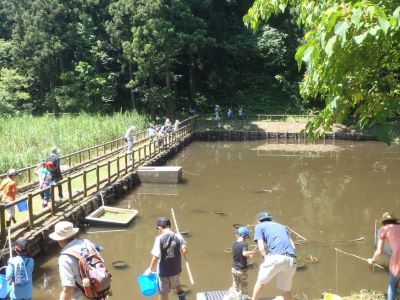 大潟水と森公園  7～8月はザリガニ釣り体験や昆虫のライトアップ！