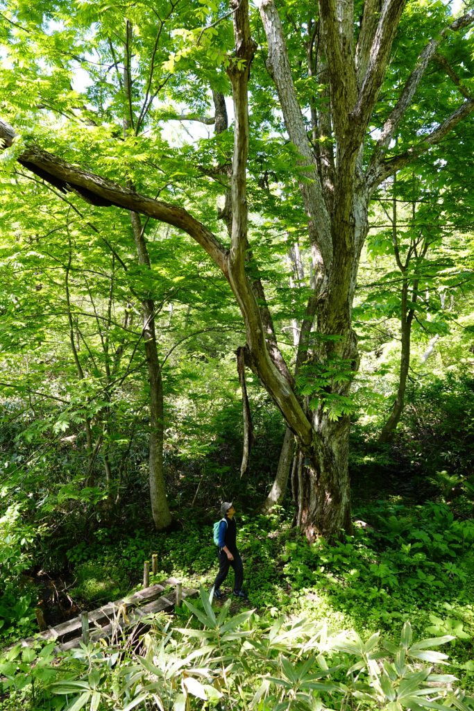 DSC01087-scaled