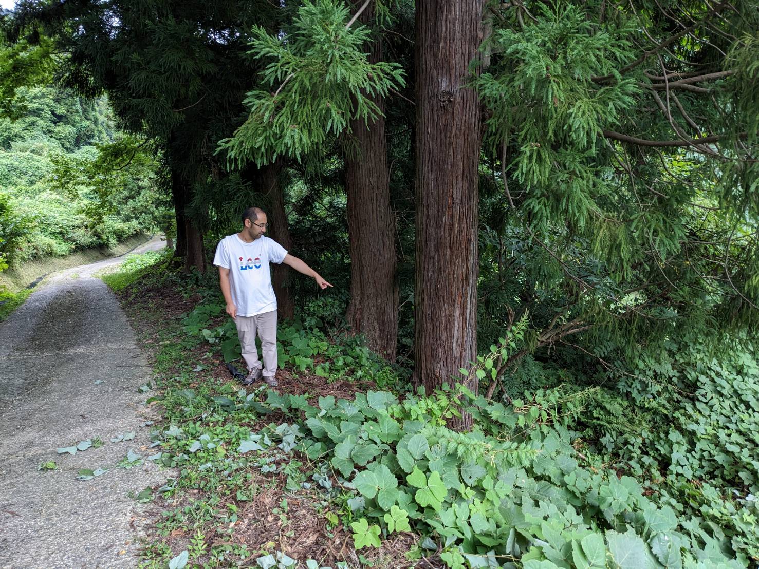 クマとみられる野生動物に襲われる 妙高市平丸70代男性が重傷