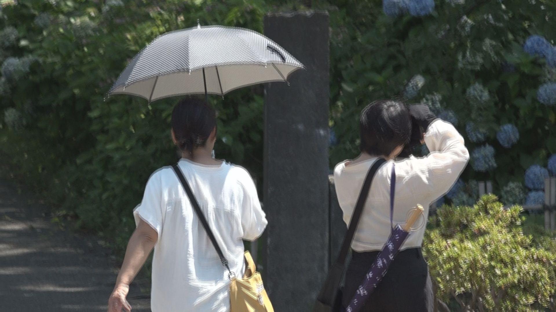 今年7月末まで 熱中症の疑いで83人が救急搬送  エアコン使わない高齢者が……