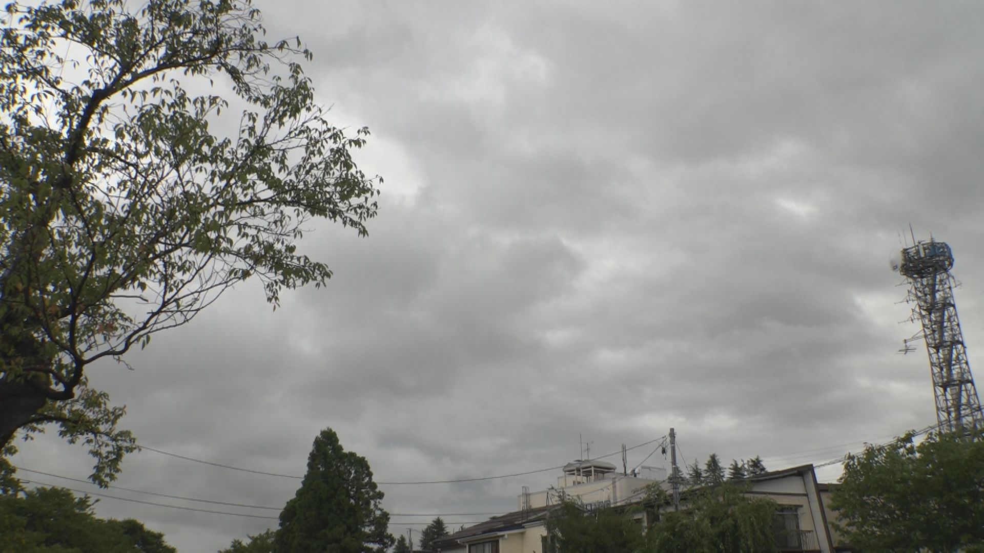 県内 警報級の大雨のおそれなくなる あすの上越は曇り所により雨