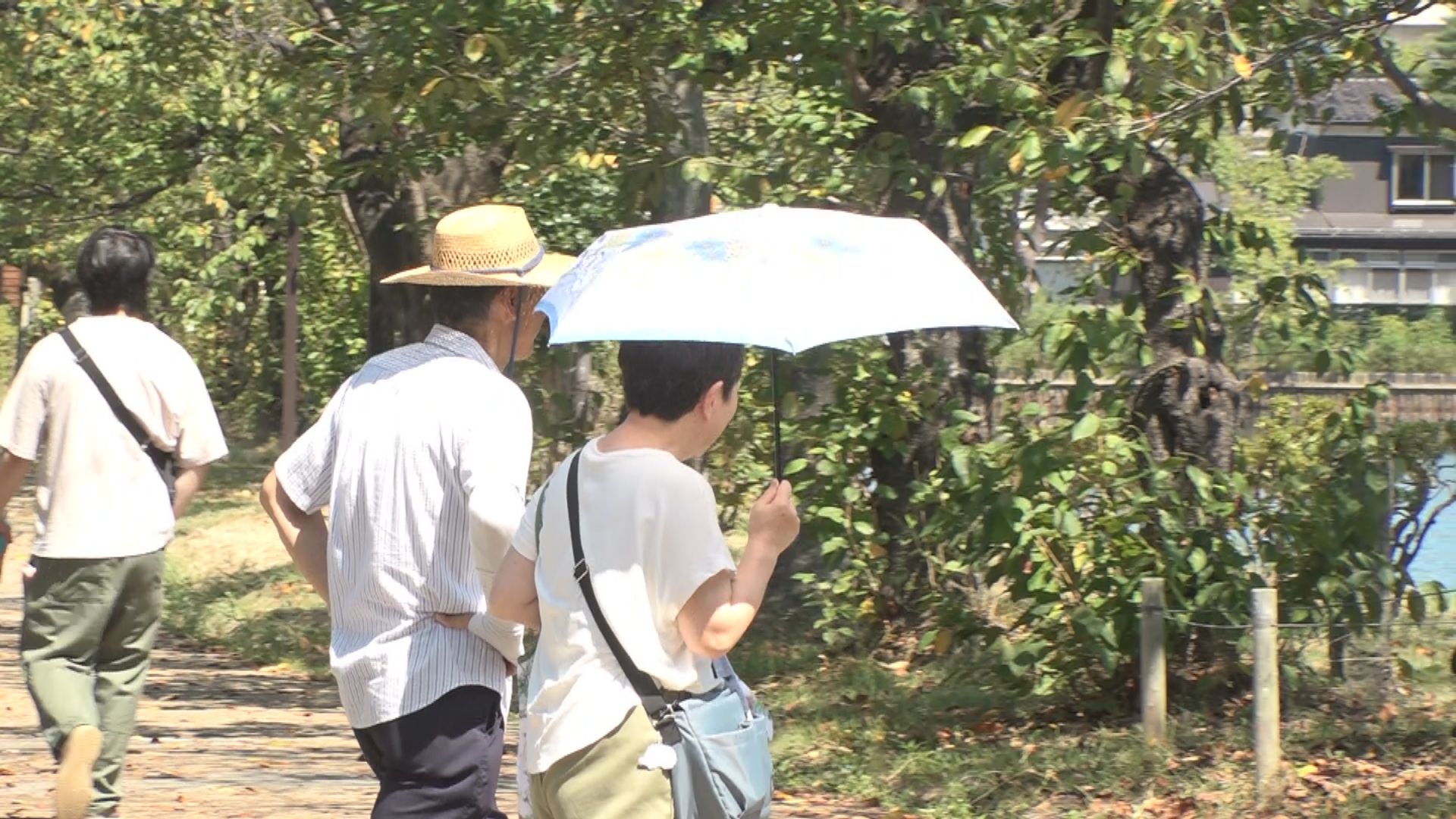 残暑厳しく 高田で35.8度の猛暑日に