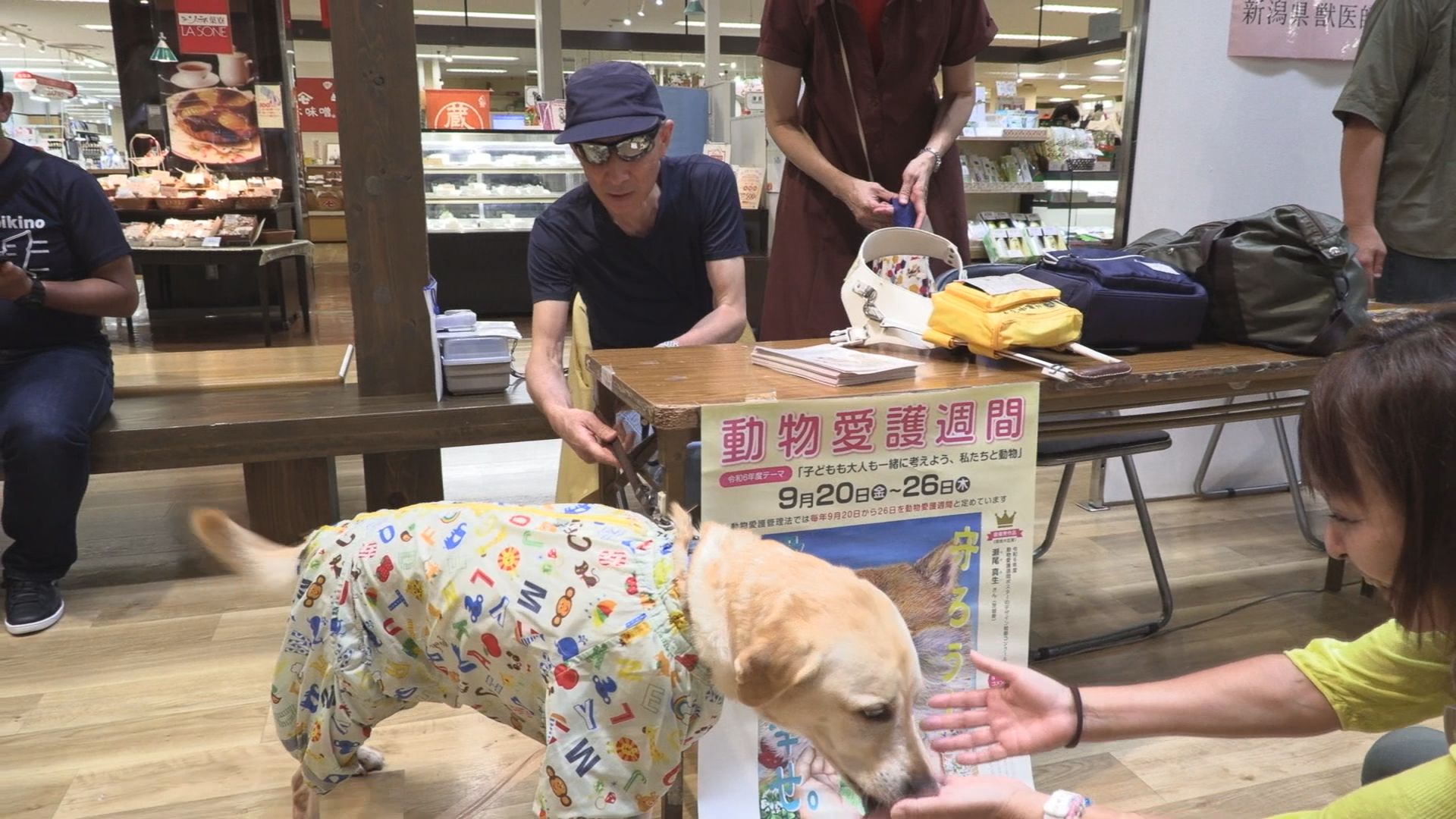 動物愛護フェスティバル 動物への理解深める