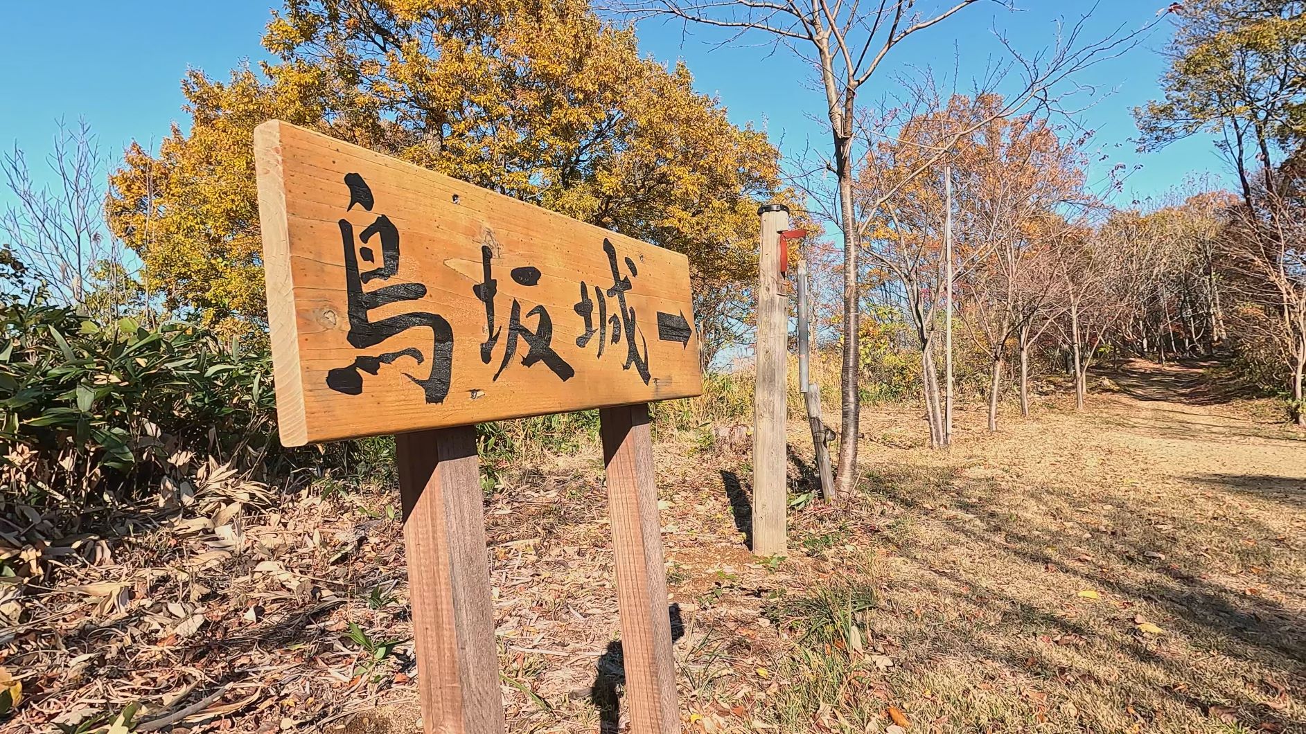 【動画】秋深し 高床山森林公園 鳥坂城跡