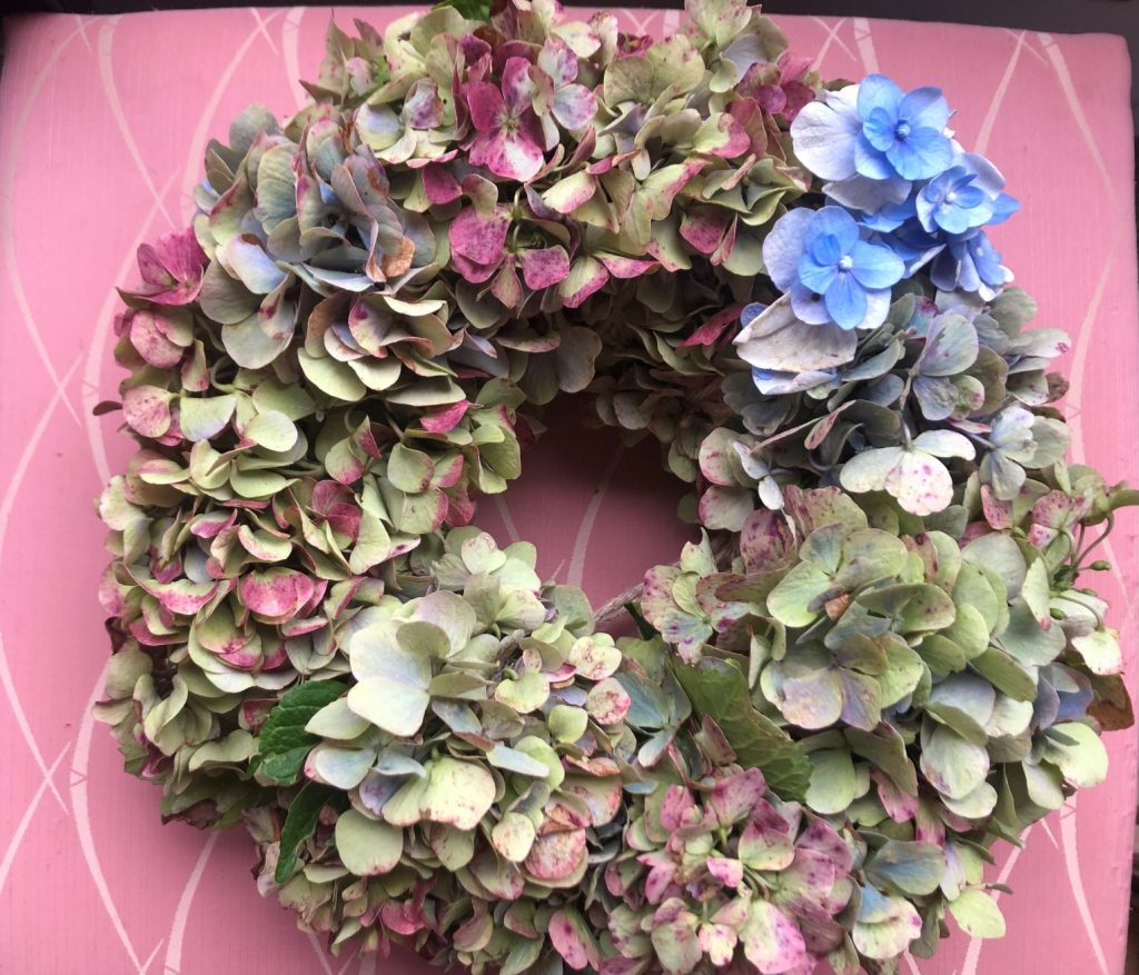世界にひとつ！赤倉名物「紫陽花リース」づくり 参加者募集