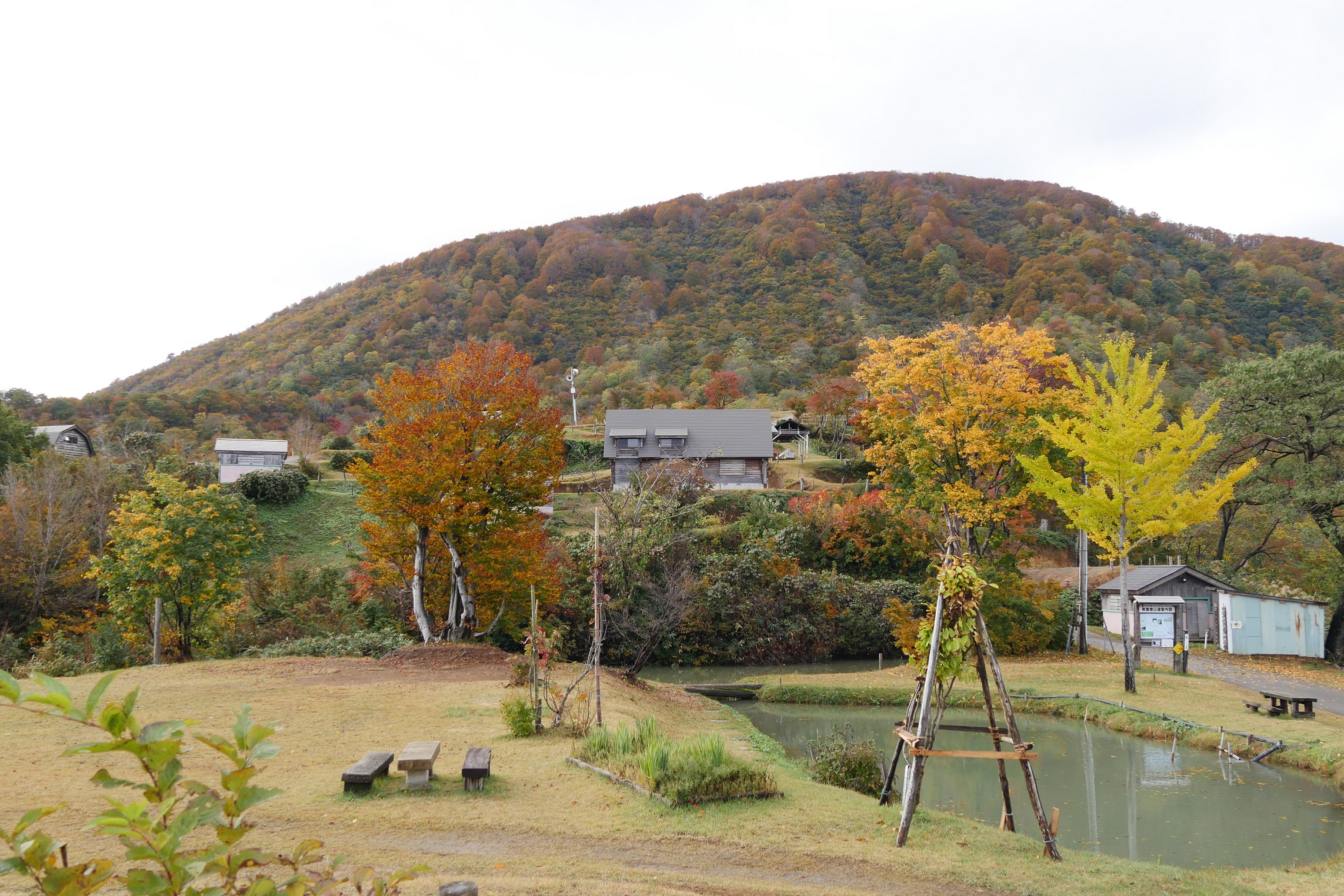 ＜紅葉情報2024＞上越妙高地域の最新の紅葉情報をお伝えします！6日(水)撮影