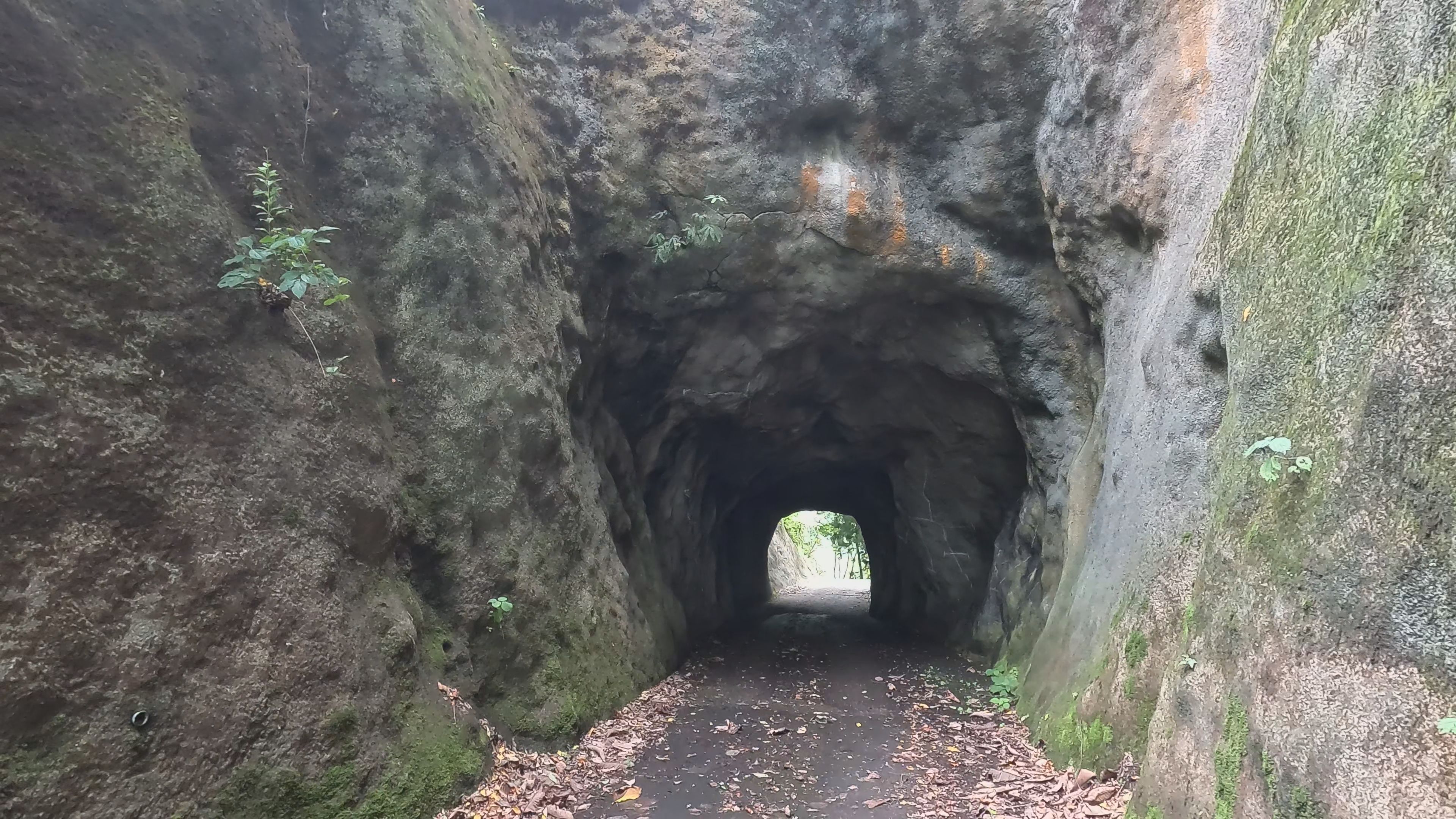 【動画】穴があったら入りたい！安塚区冬季歩道&吉川区尾神隧道