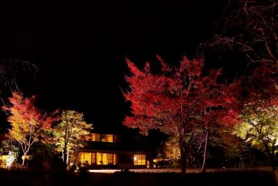 紅葉庭園をライトアップ！小林古径記念美術館で14日(木)から