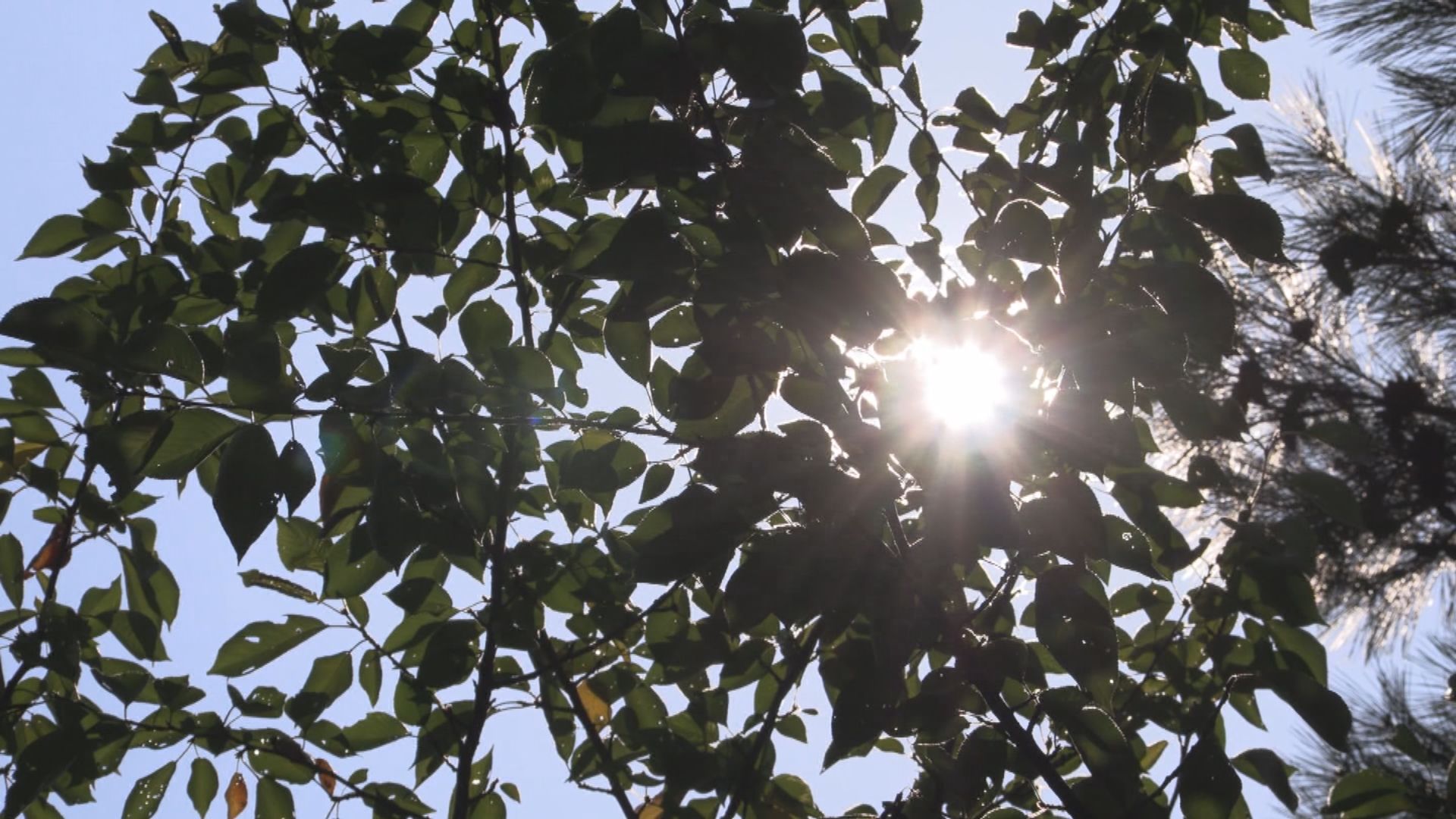 今年の夏も暑くなりそう 気象台が暖候期予報発表