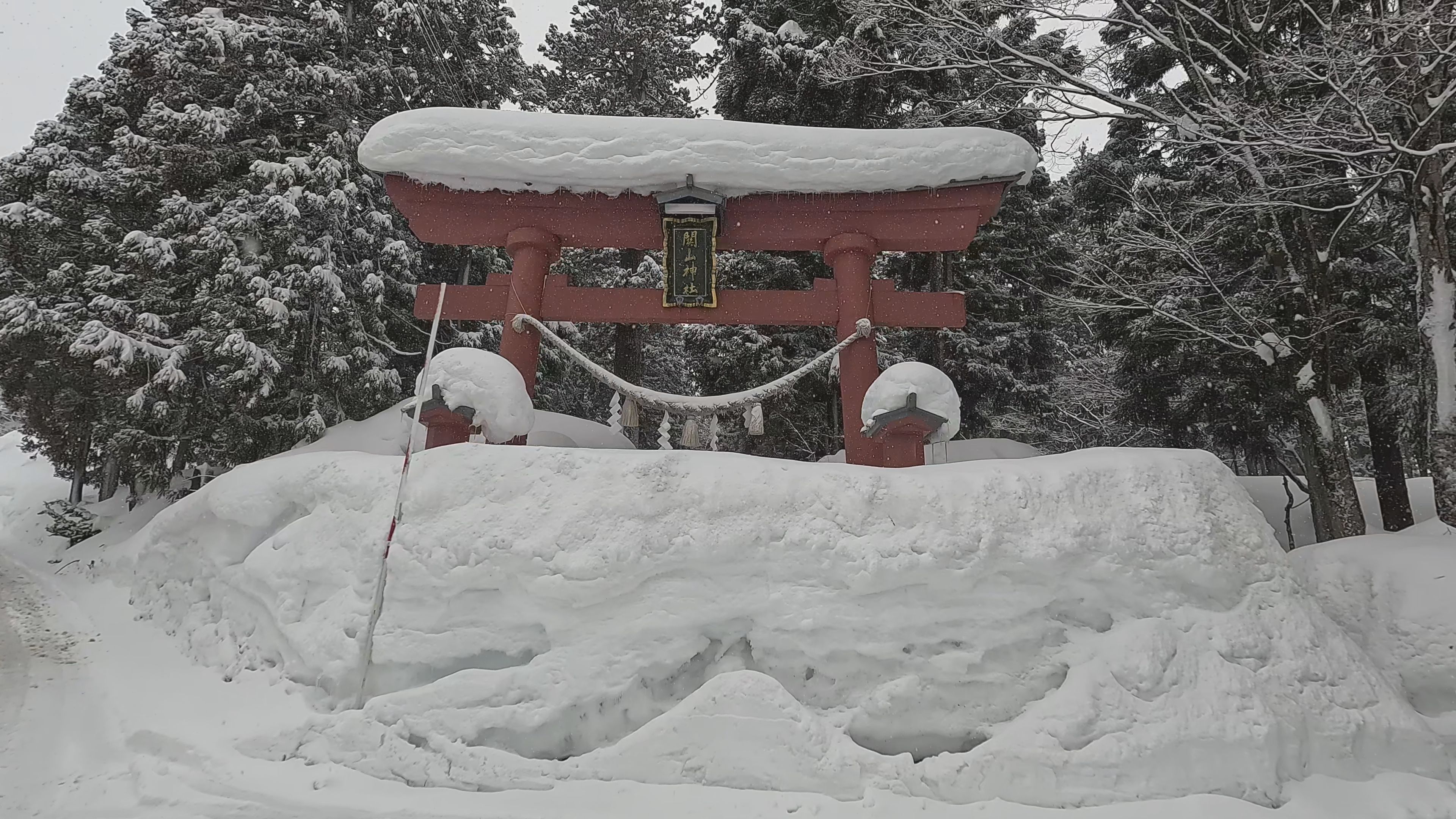 【動画】関山神社へ豪雪さんぽ